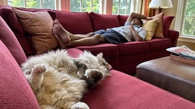 Dr. Shah and his best friend (left foreground) enjoy a quick cat nap at home.