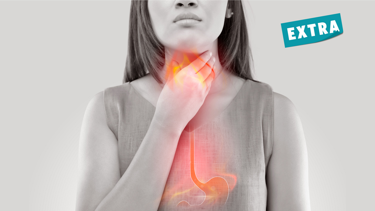 Shutterstock 762523357 Base