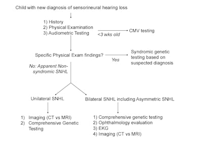 Figure 1. Hearing Loss Diagnostic Evaluation