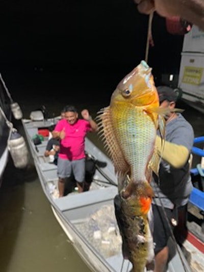 Local residents brought fresh fish as a gift to the hospital ship’s team.
