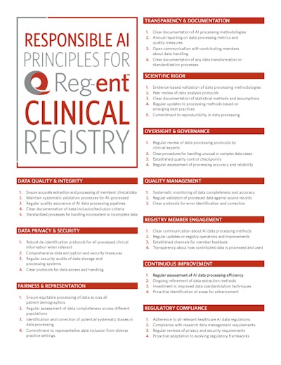 Reg Ent Responsible Ai