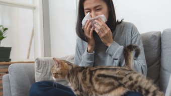 Cat Allergy Thumbnail