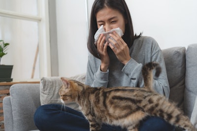 Cat Allergy Thumbnail