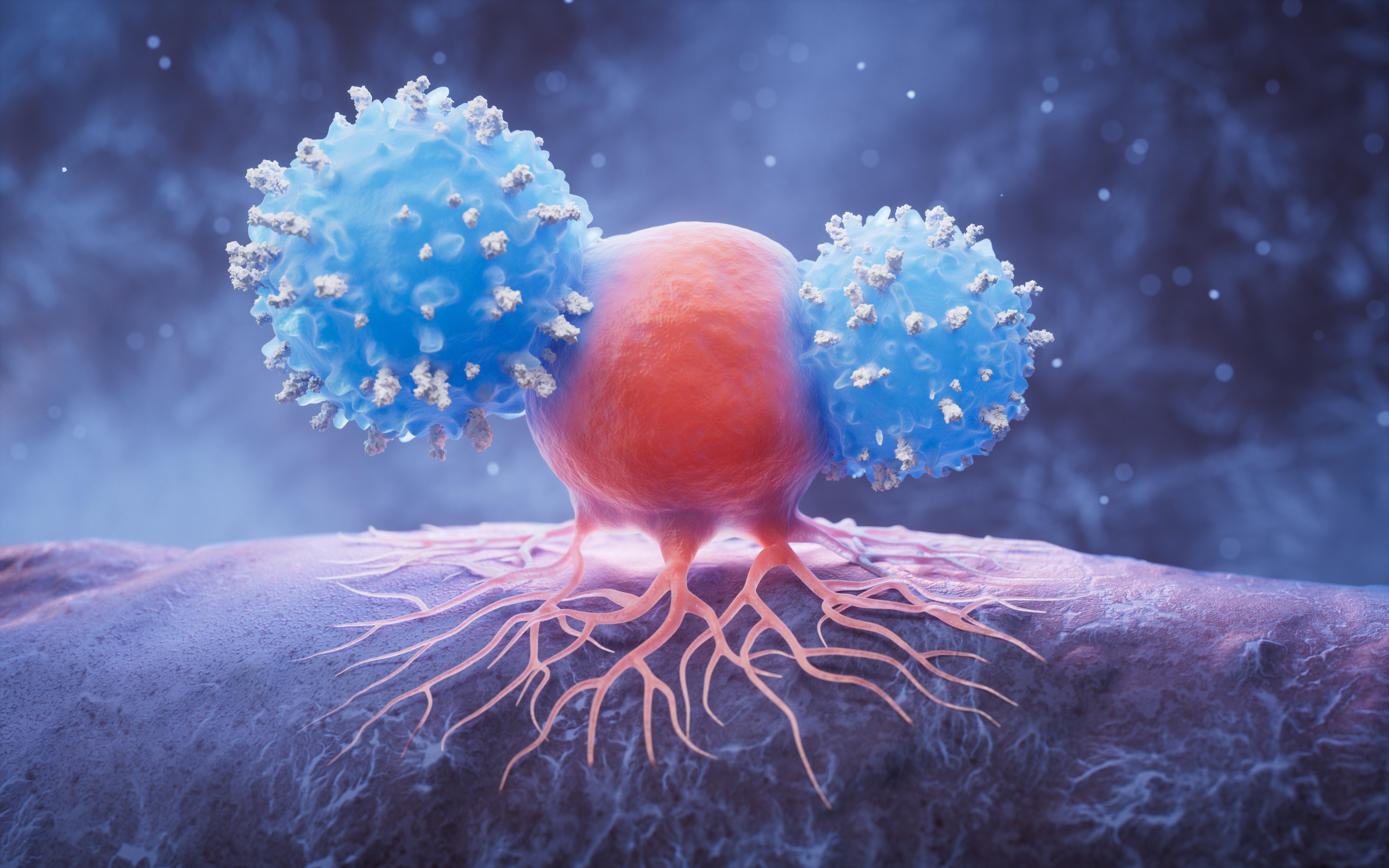 Shutterstock 2480344577