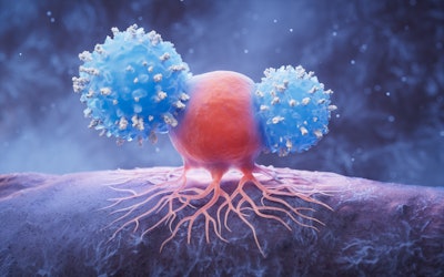 Shutterstock 2480344577