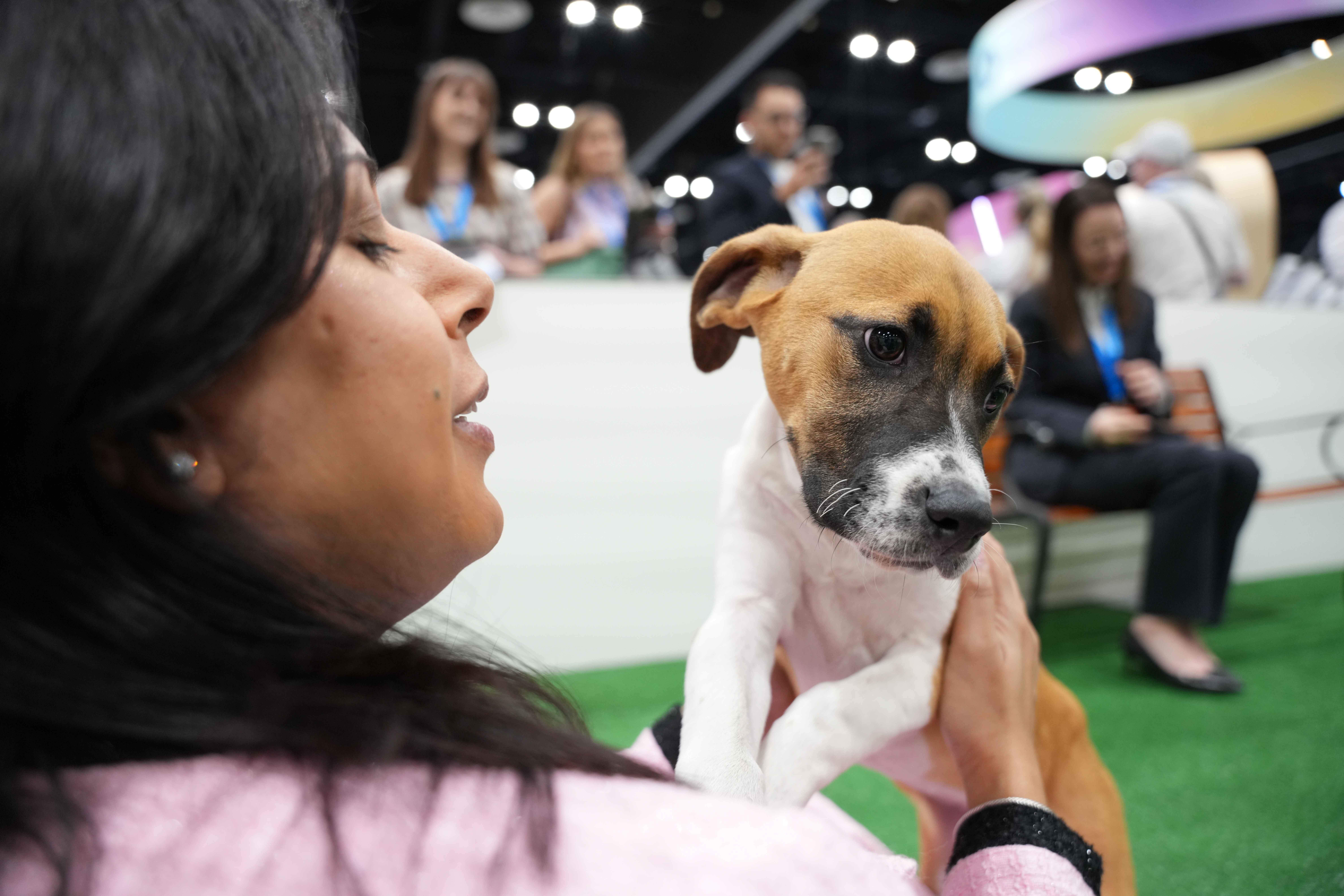 Woman holding tan and white dog at indoor dog show event with spectators in background