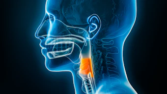 Shutterstock 2267438091