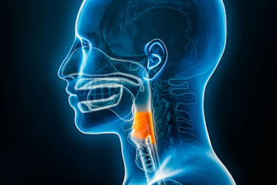 Shutterstock 2267438091