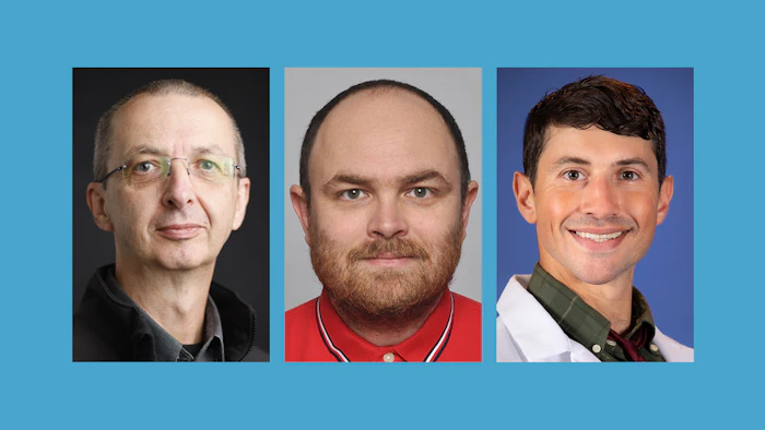 Three professional headshots of men with different backgrounds and styling