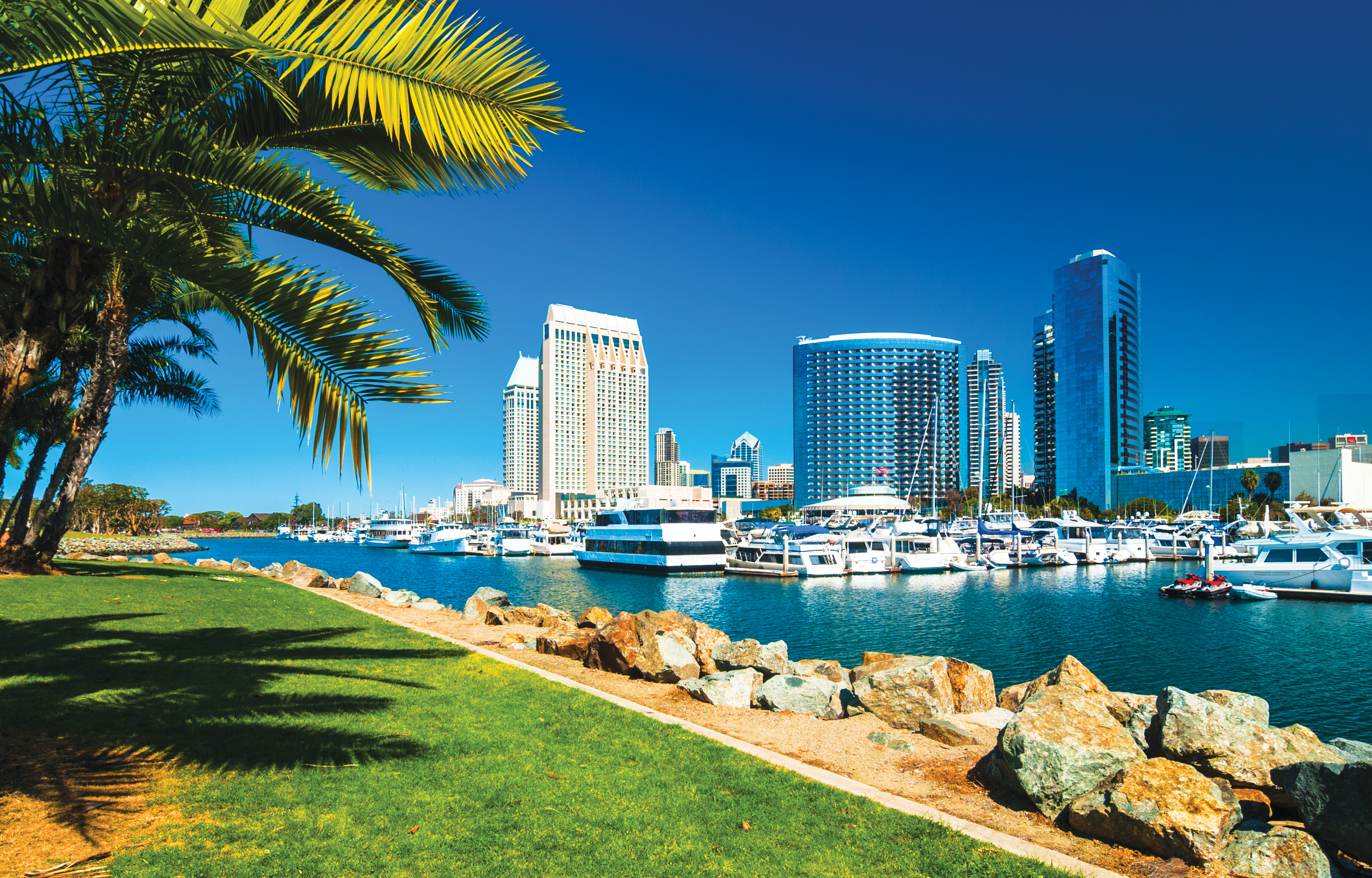 San Diego waterfront with marina, palm trees, green lawn, and downtown skyline under clear blue sky